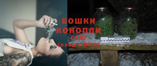 прущие грибы Карпинск