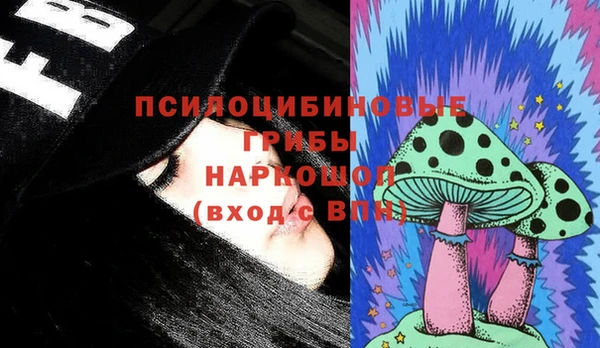дживик Бронницы