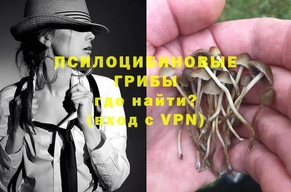дживик Бронницы