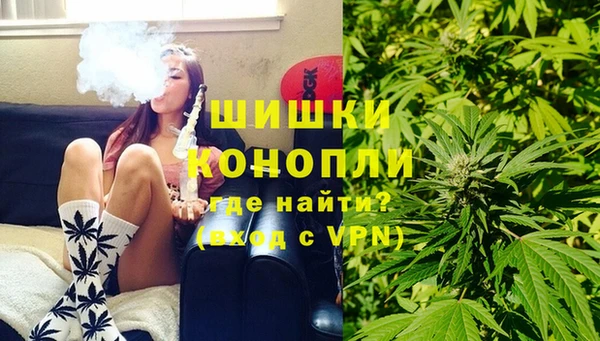 дживик Бронницы