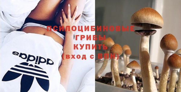 дживик Бронницы