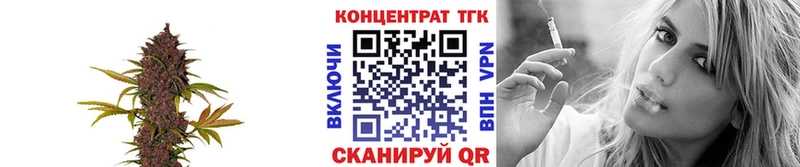 закладка  Невель  ТГК Wax 
